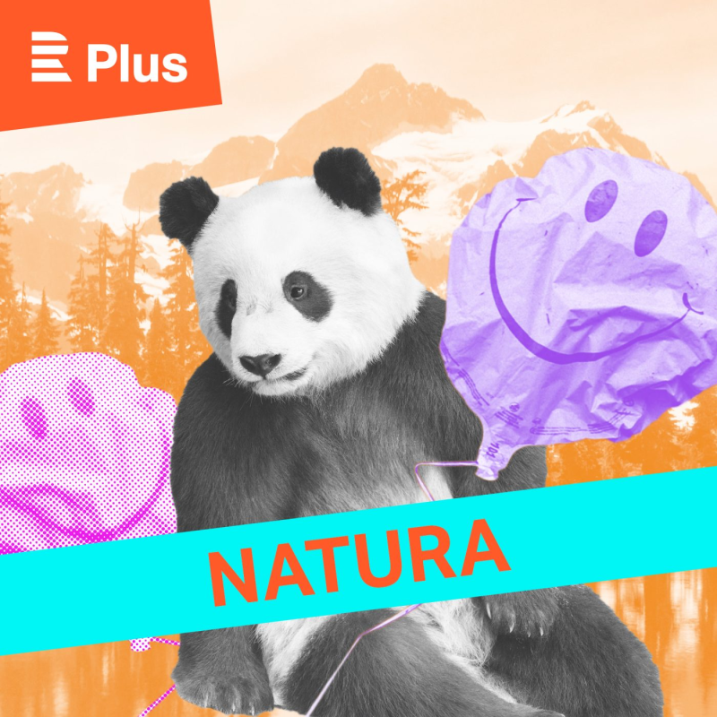 Obrázek epizody Dá se žít v maringotce se dvěma malými dětmi? „Dá a je to skvělé!“ říká experimentátor Ice Kucka