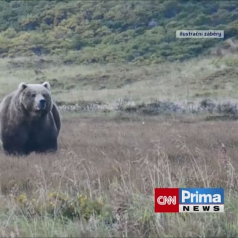 Obrázek epizody Kde ji medvěd kousl do zadnice?