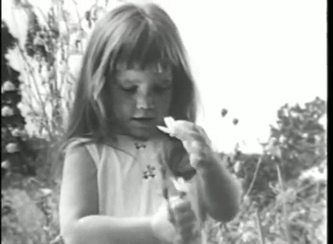 Obrázek epizody Epizoda 15: Volební rok, k prosperitě krok