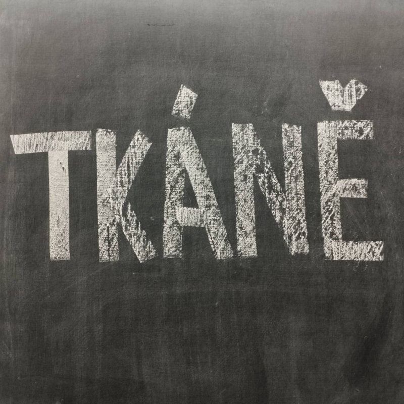 Obrázek epizody Tkáně – tak konečně probíráme člověka!