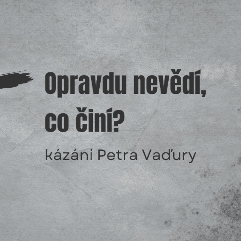 Obrázek epizody Opravdu nevědí, co činí? - Petr Vaďura
