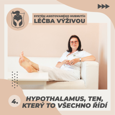 Obrázek epizody 4. Hypothalamus, ten, který to všechno řídí