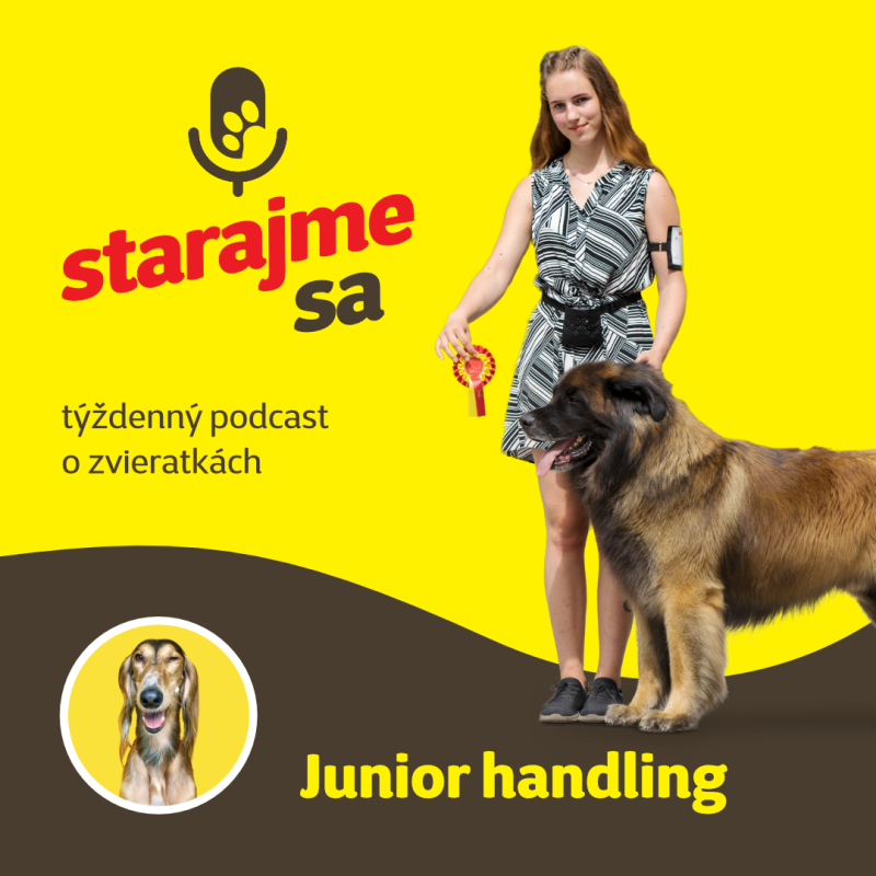 Obrázek epizody Psy: Junior handling