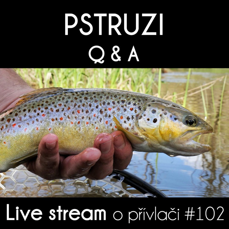 Obrázek epizody Přívlač Live #102 - Pstruzi, novinky, Q & A