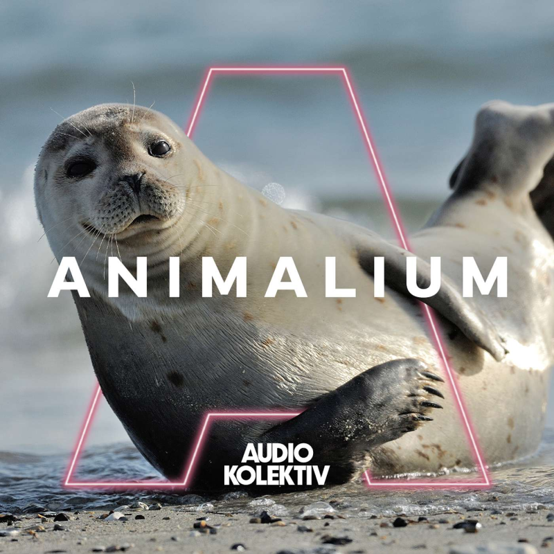 Obrázek epizody Animalium: Tuleň - banánový pozér?