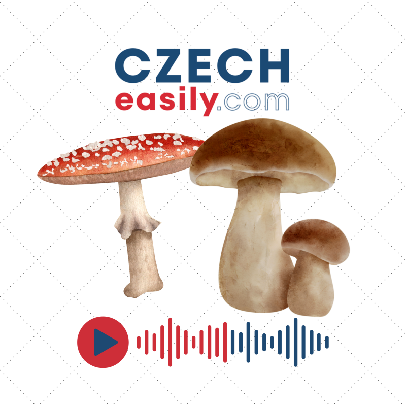 Obrázek epizody 17. Země hub