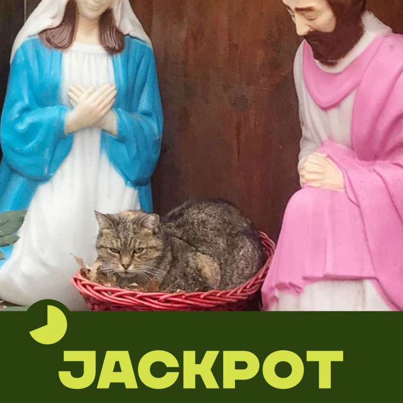 Obrázek epizody JACKPOT 03