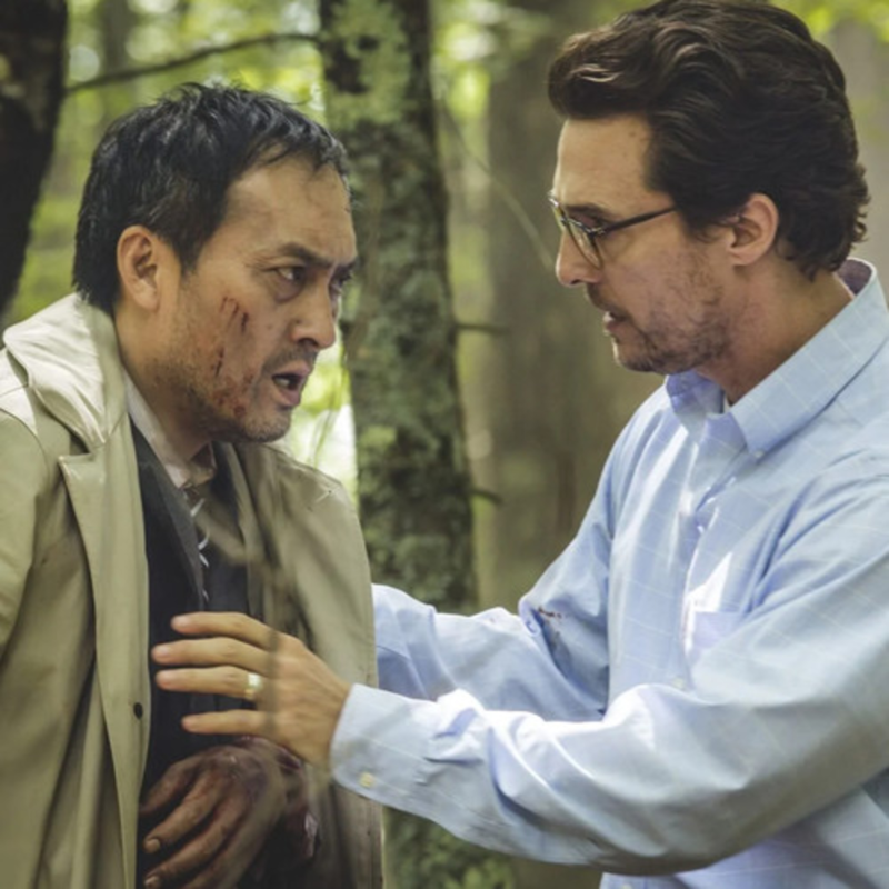 Obrázek epizody Moře stromů