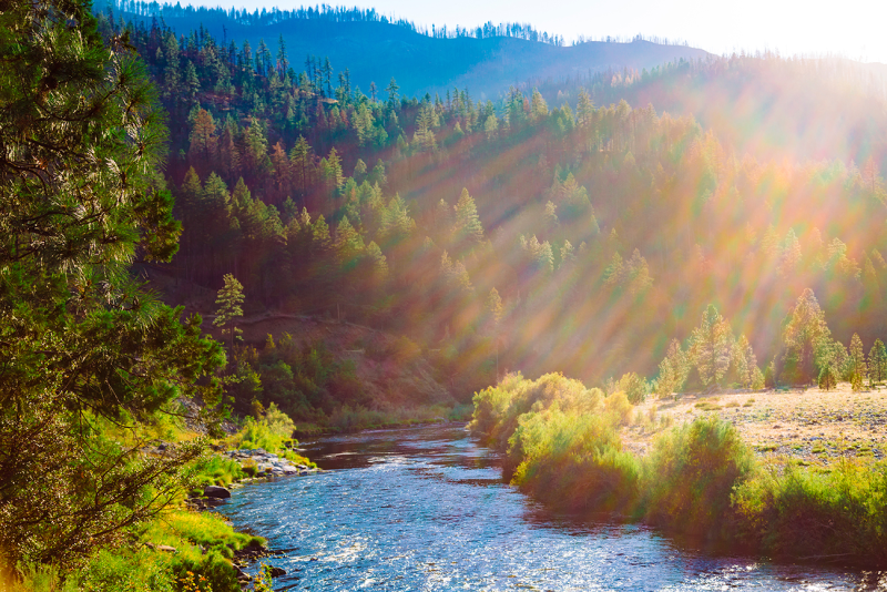 Obrázek epizody Losos znovu potáhne peřejí. Díky indiánům