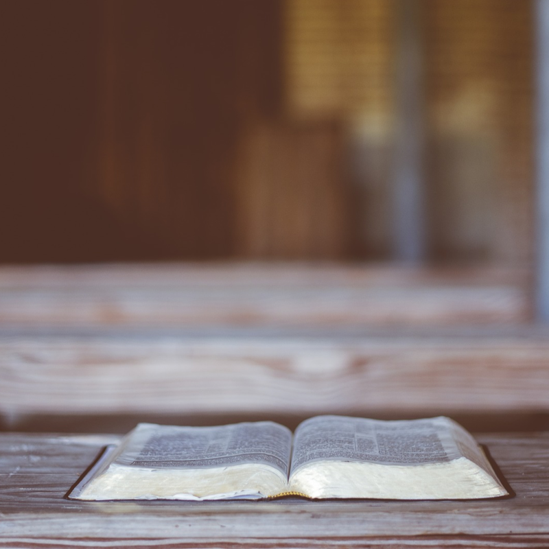 Obrázek epizody 7. Úvod do Bible: Žaltář