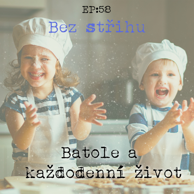 Obrázek epizody EP58: Batole a každodenní život