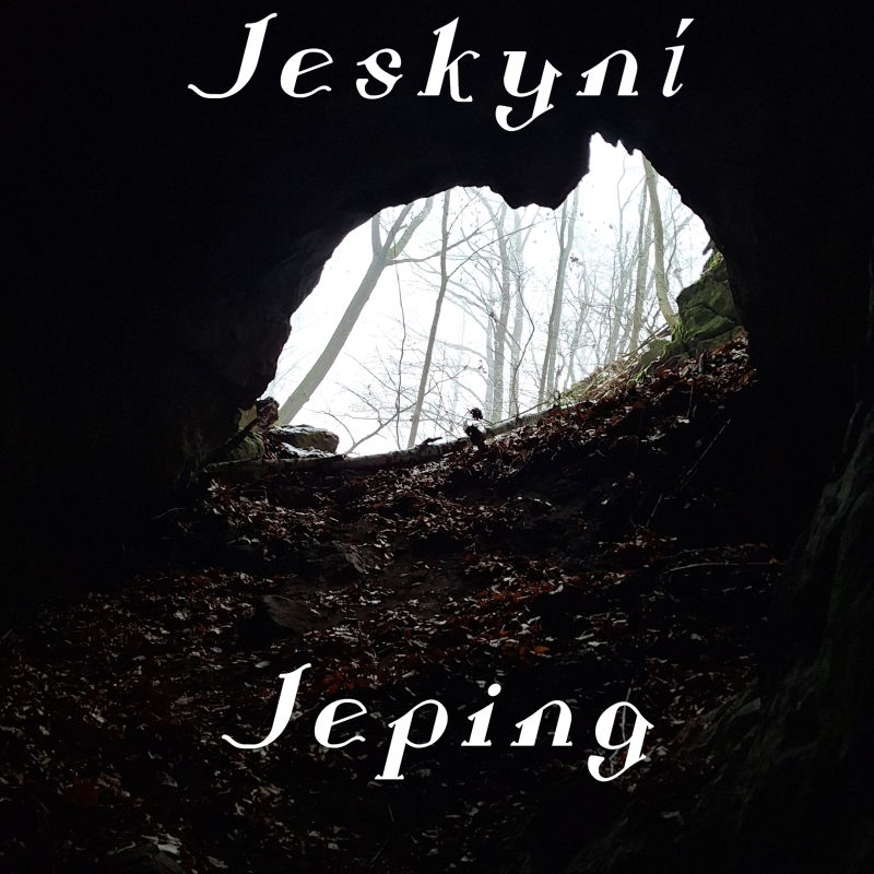 Obrázek epizody Poslední list