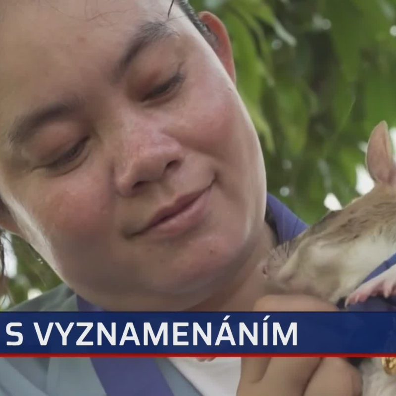 Obrázek epizody Krysí lovec min (zdroj: CNN Prima NEWS)