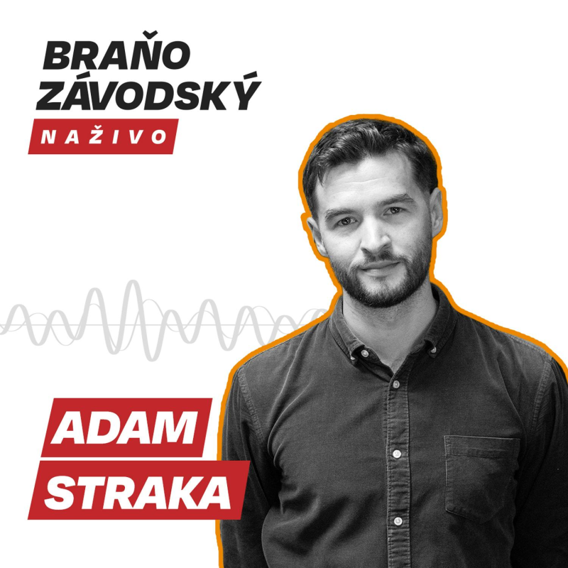 Obrázek epizody Straka z Otvorenej kultúry: My sme na kultúrny výbor parlamentu prišli, ministerka a koalícia nie