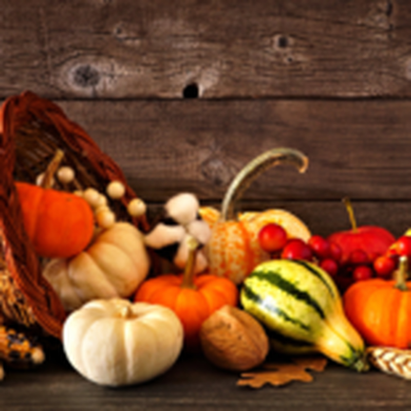 Obrázek epizody HOROSKOPY: Lvi, touha po partnerské harmonii bude velmi silná, ale ne vždy dosažitelná