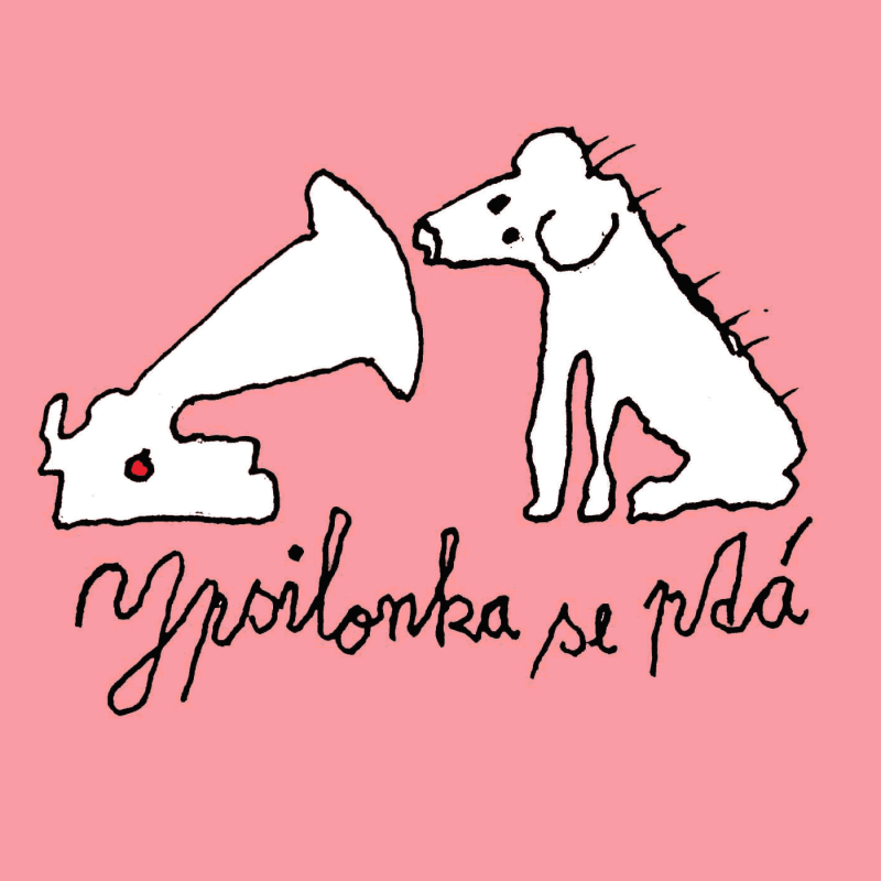 Obrázek epizody Ypsilonka se ptá: Tentokrát Petra Koury