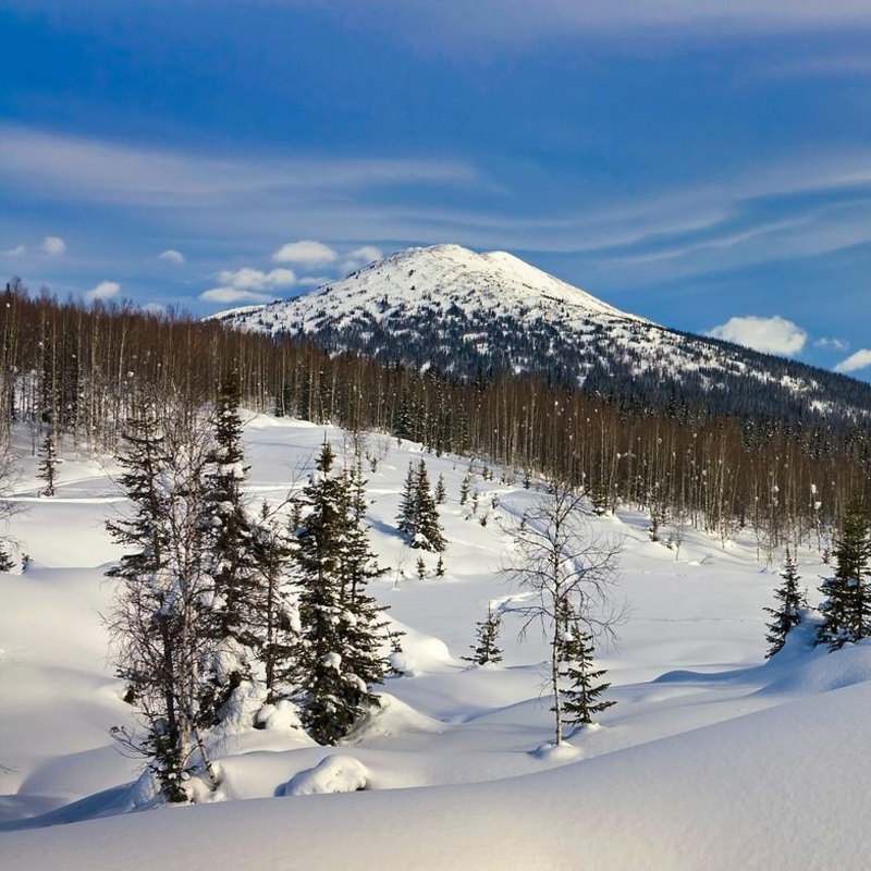 Obrázek epizody Petra Plášilová čte z knihy Ljudmily Ulické Zelený stan