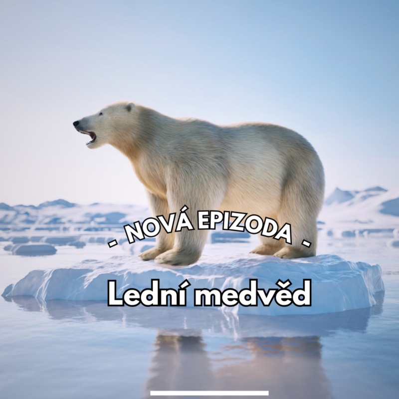 Obrázek epizody 27: Králové říše ledu