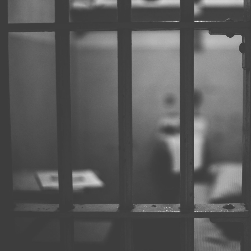 Obrázek epizody Zátiší 29/11/2023-11: Lenka Ouředníčková