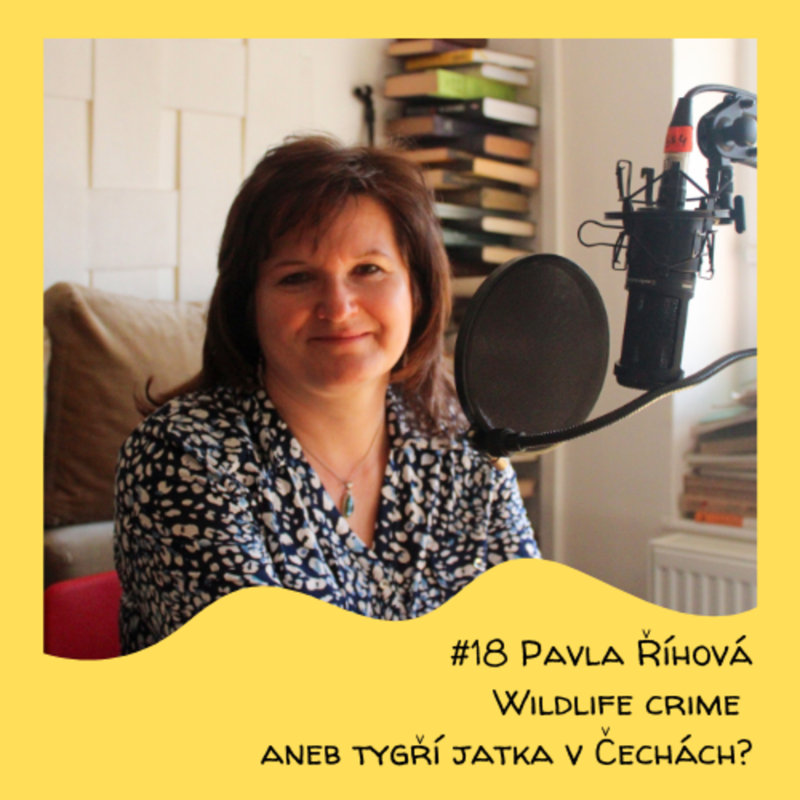 Obrázek epizody #18 Pavla Říhová - Wildlife crime aneb tygří jatka v Čechách?