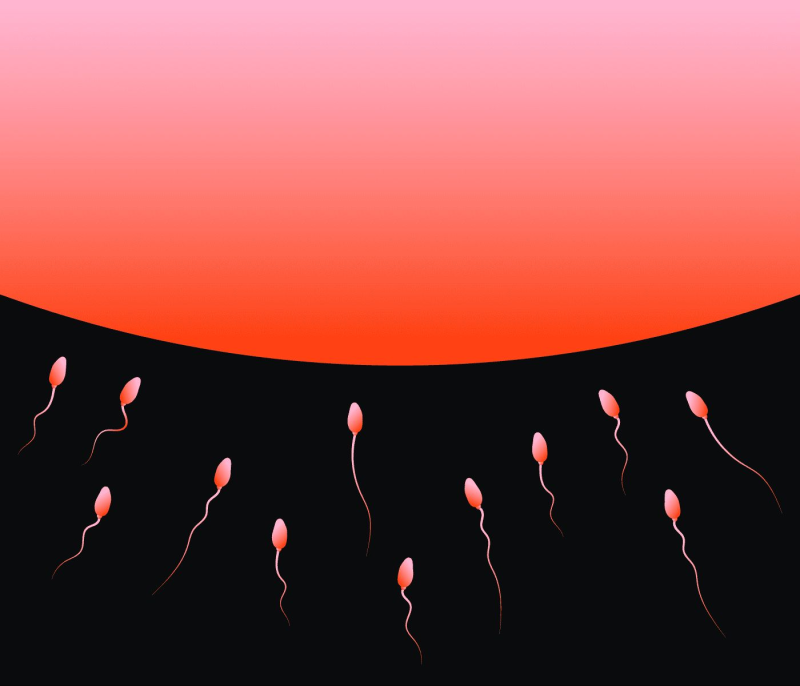 Obrázek epizody Birthstory