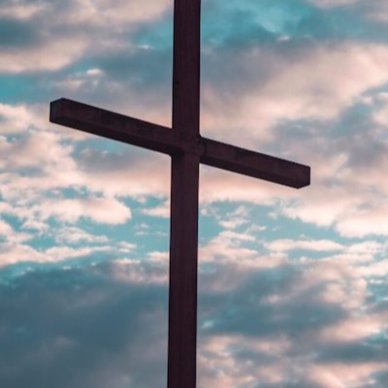 Obrázek epizody Dítě s diagnostikovaným Downovým syndromem se narodilo zdravé.