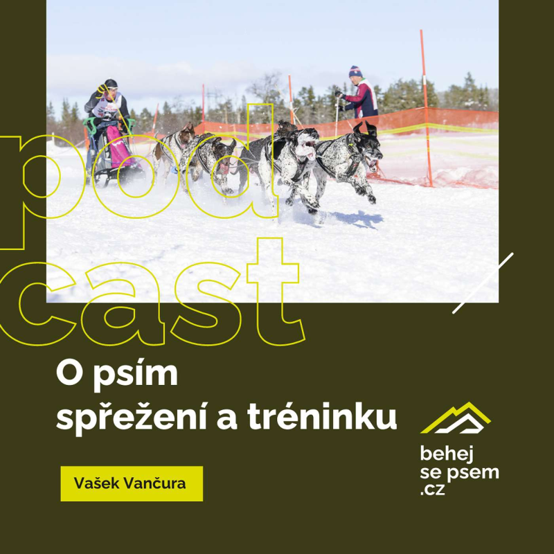 Obrázek epizody O psím spřežení a tréninku | Vašek Vančura