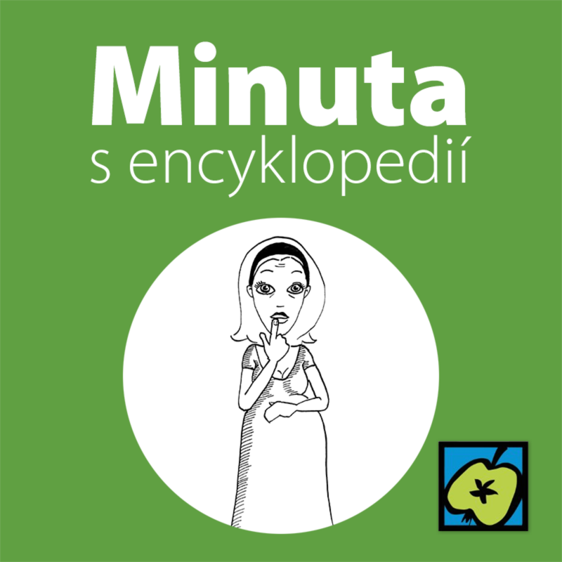 Obrázek epizody Antikoncepce
