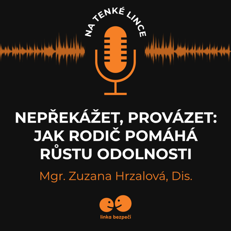 Obrázek epizody Nepřekážet, provázet: Jak rodič pomáhá růstu odolnosti