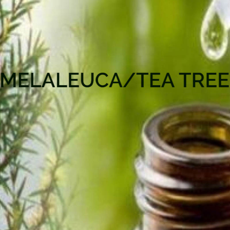 Obrázek epizody Zelený Zázrak: Moc Tea Tree Oleje 🌱✨