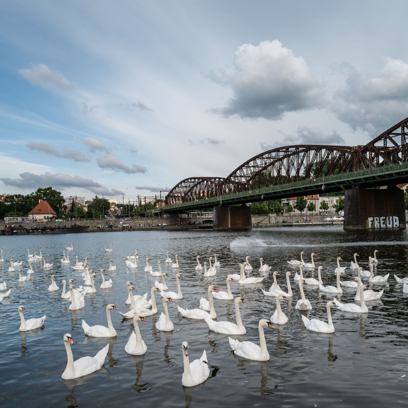 Obrázek epizody UNESCO vyzývá k opravě mostu na pražské Výtoni. Čeká Správa železnic, až sám spadne?
