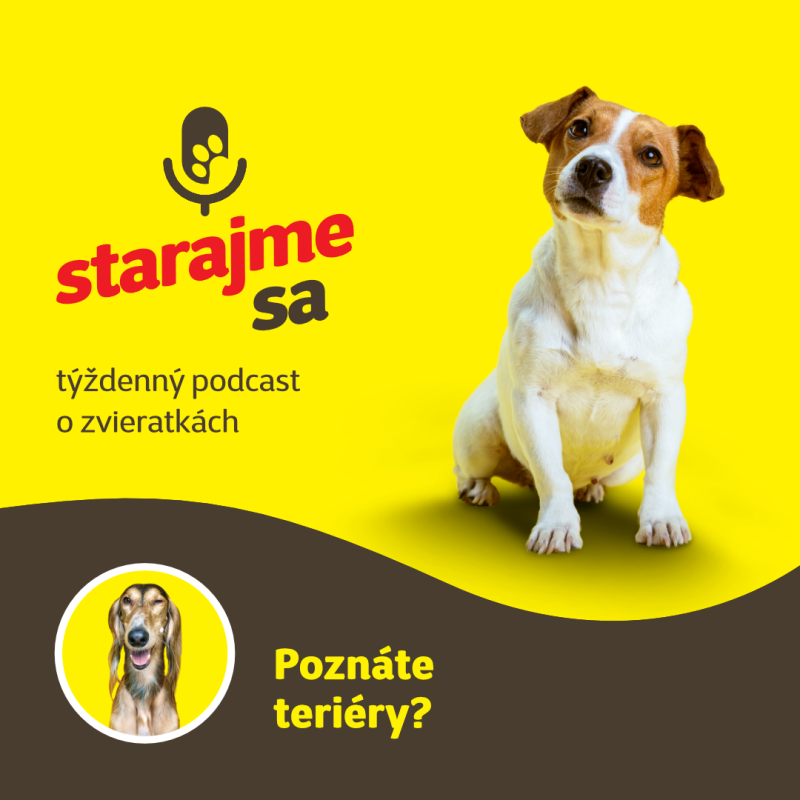 Obrázek epizody Psy: Poznáte teriéry?