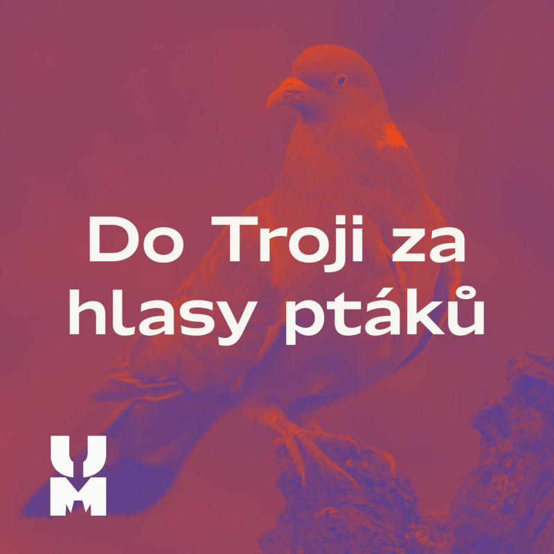 Obrázek epizody Do Troji za hlasy ptáků – komentovaná procházka s ornitologem Lukášem Viktorou