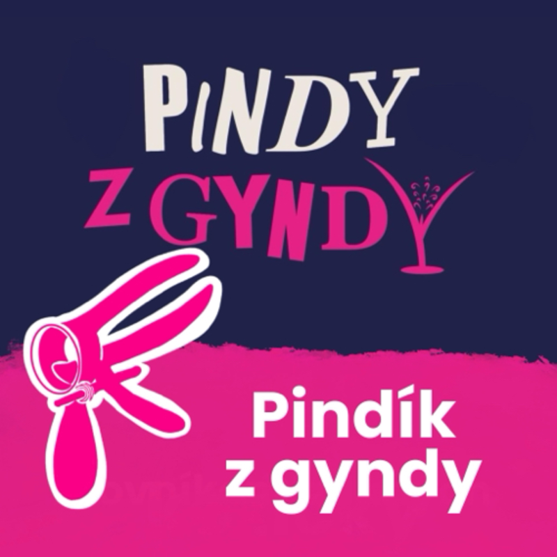 Obrázek epizody Pindík z gyndy
