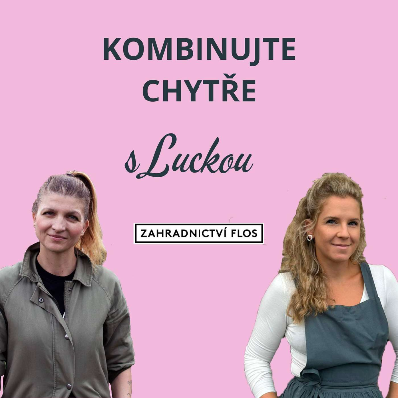 Obrázek epizody Kombinujte chytře trvalky a keře (i růže) v jednom záhonu