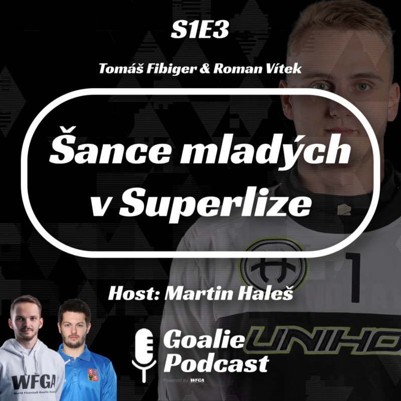 Obrázek epizody Goalie Podcast #3 | Šance mladých v Superlize | Host: Martin Haleš