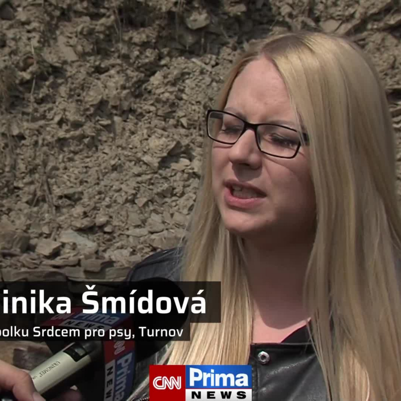 Obrázek epizody Štěně se stále bojí (zdroj: CNN Prima NEWS)