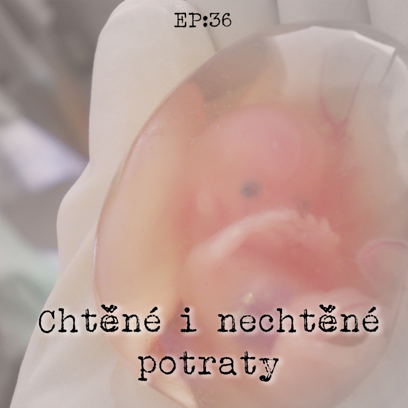 Obrázek epizody EP36: Chtěné i nechtěné potraty