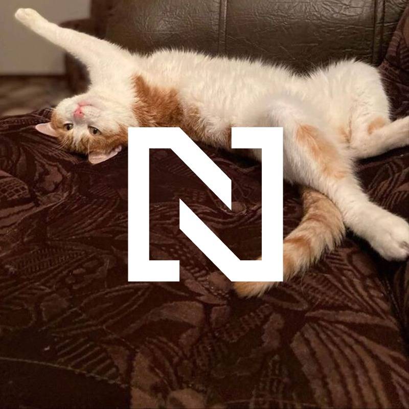 Obrázek epizody O kocourovi, který odhalil povahu ruského národa