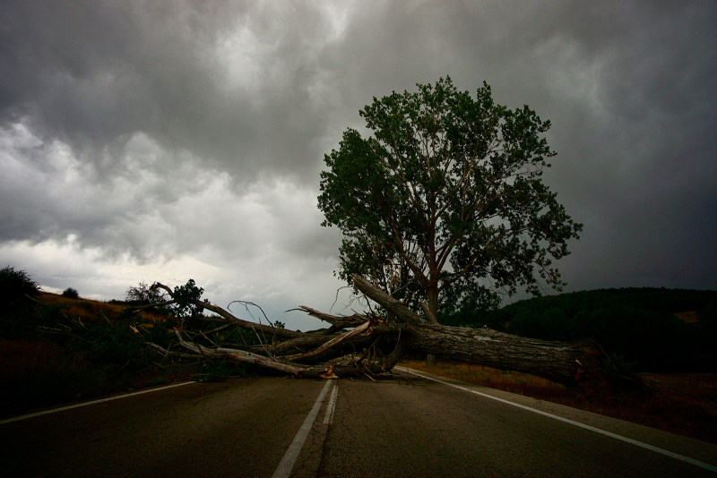 Obrázek epizody Proč potřebujeme klimatickou odolnost