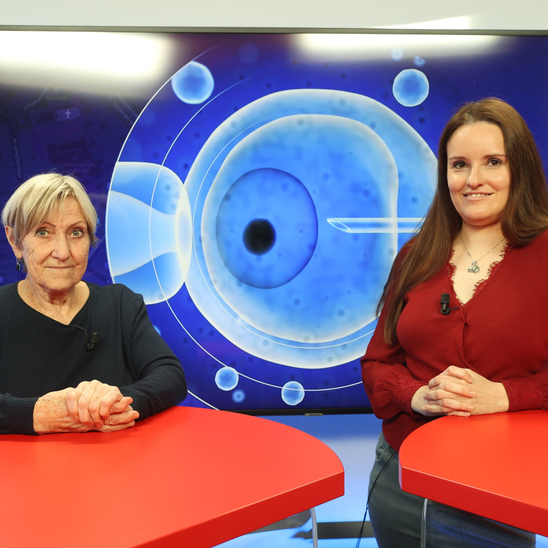Obrázek epizody Lékařka Brandejská o potížích s početím a umělém oplodnění: Na co se připravit a kolik to stojí?