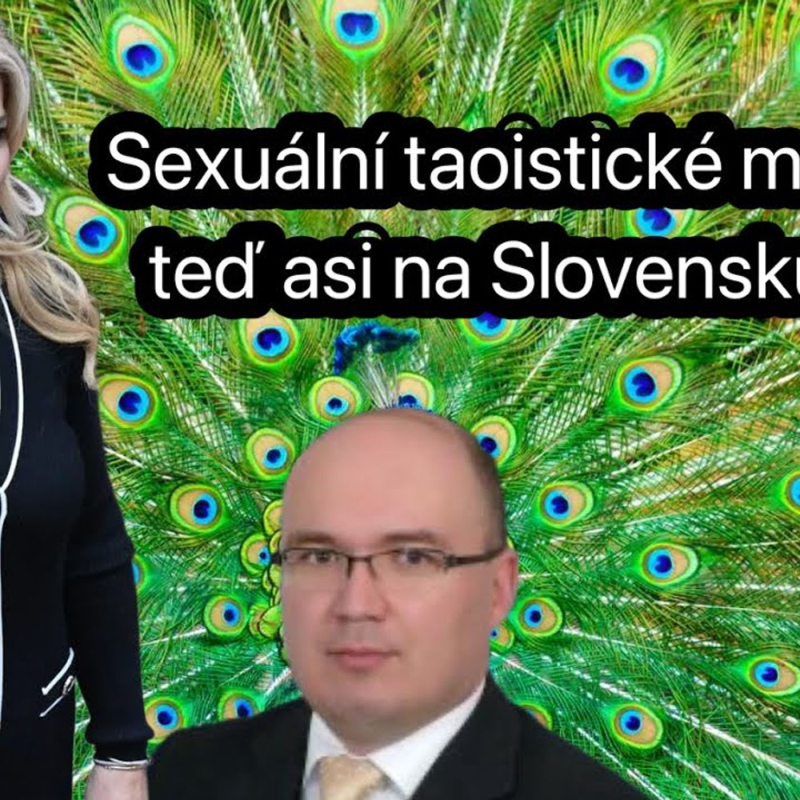 Obrázek epizody Šimkovičová, taoismus a podivné masáže dětí