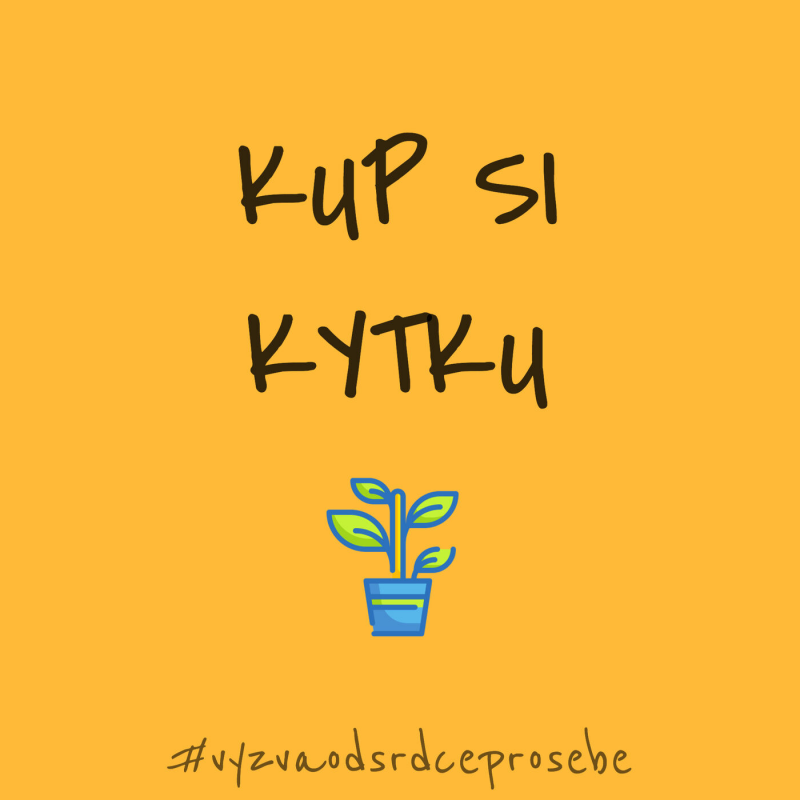 Obrázek epizody 3. Kup si kytku #vyzvaodsrdceprosebe