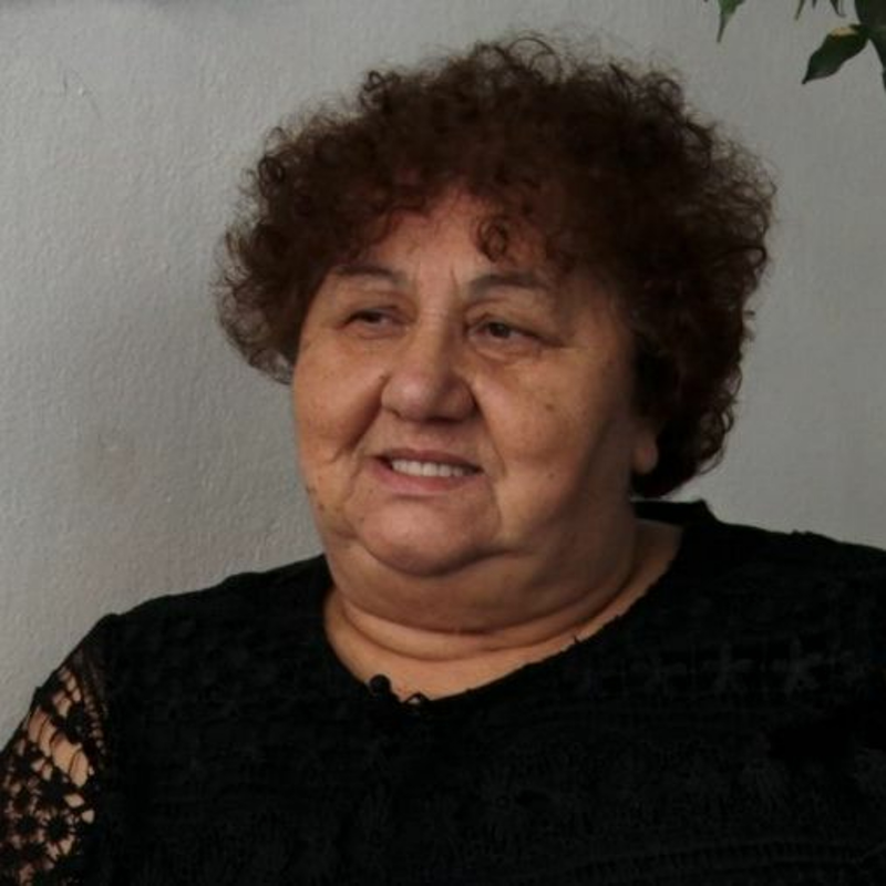 Obrázek epizody "Mezi Romy se vytrácí paťiv, někteří se chovají jako rasisté," říká spisovatelka Ilona Ferková