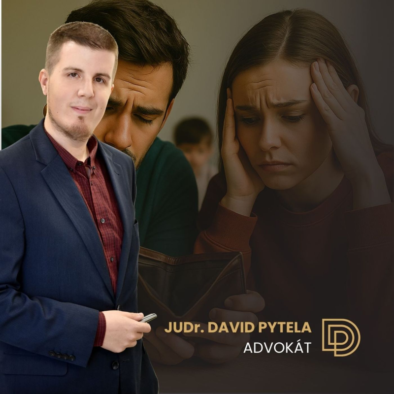 Obrázek epizody 70: Jak na snížení výživného