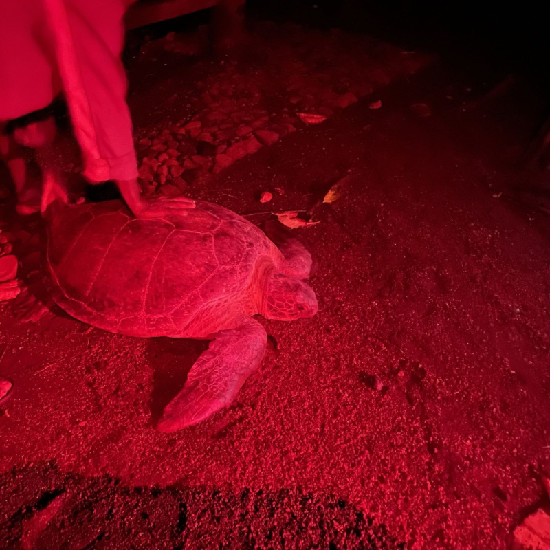 Obrázek epizody Ešus 10/3/2025: Tomáš a Ostrov Sv.Tomáše