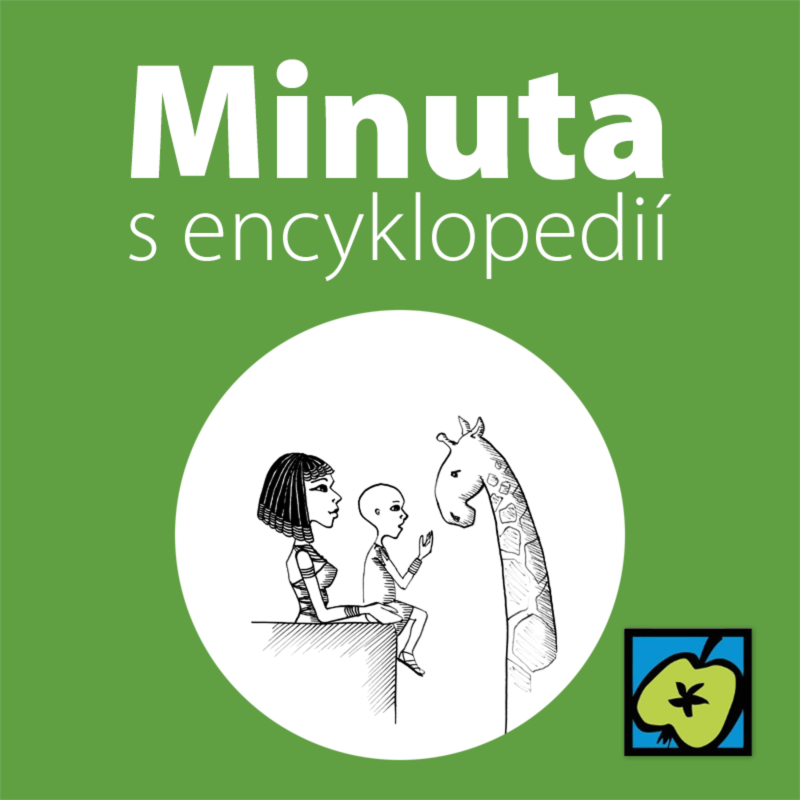 Obrázek epizody ZOO