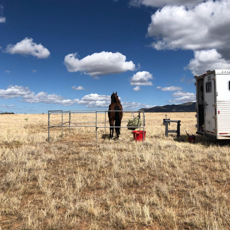 Obrázek epizody Man Against Horse