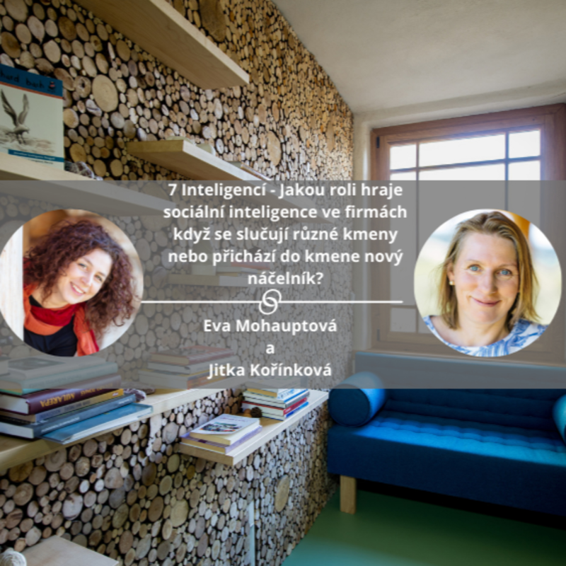 Obrázek epizody 7 Inteligencí - Jakou roli hraje sociální inteligence ve firmách když se slučují různé kmeny nebo přichází do kmene nový náčelník? #mojespokojenost