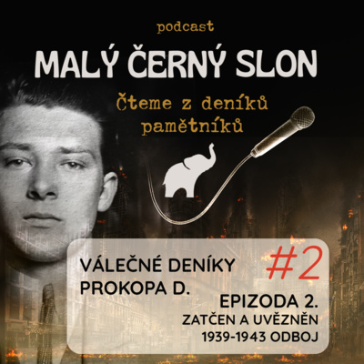 Obrázek epizody #2 Válečné deníky Prokopa D., část 2: Zatčen a uvězněn